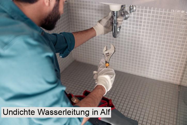 Undichte Wasserleitung in Alf